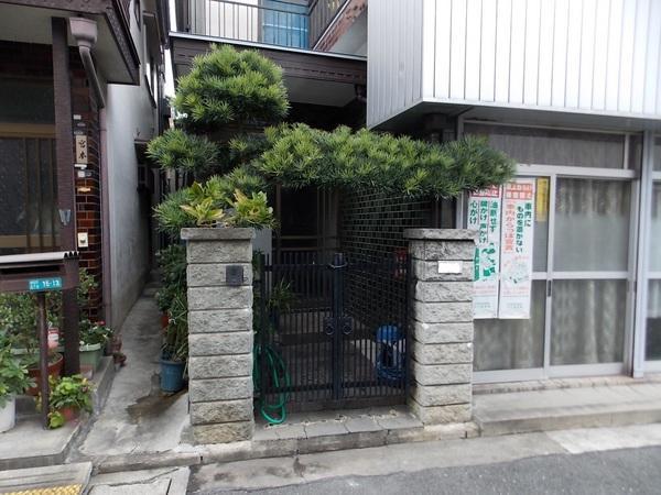 Other. Every day is the beginning of the lively and smile full of life