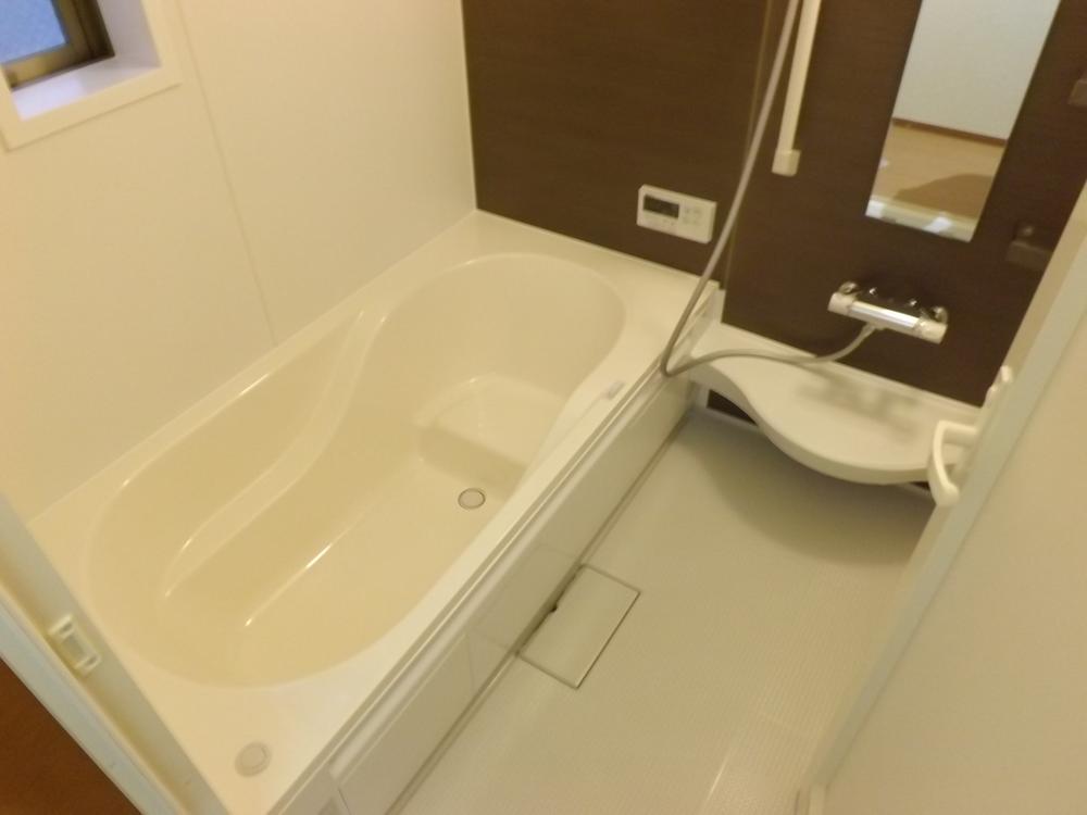 Bathroom. Local photo (bathroom)