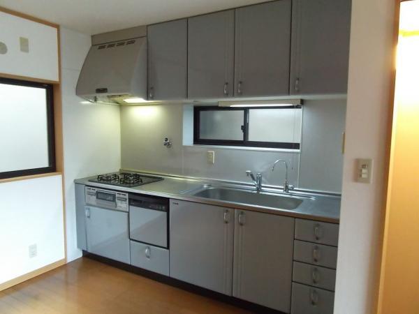 Kitchen. System kitchen with dish washing dryer