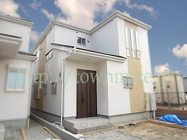 Same specifications photos (appearance). Appearance with a bright presence