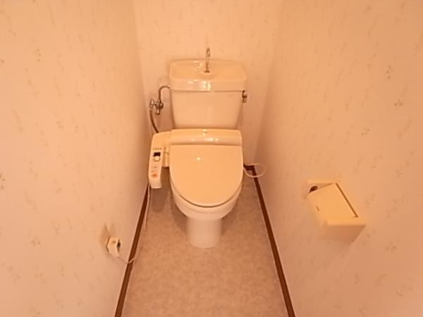 Toilet. Clean and easy always clean