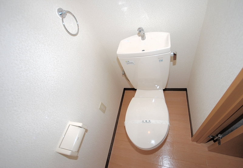 Toilet. Toilet