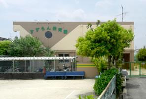 Other local. Lily of the valley nursery