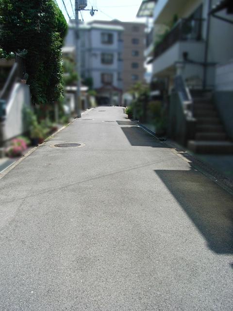Local photos, including front road