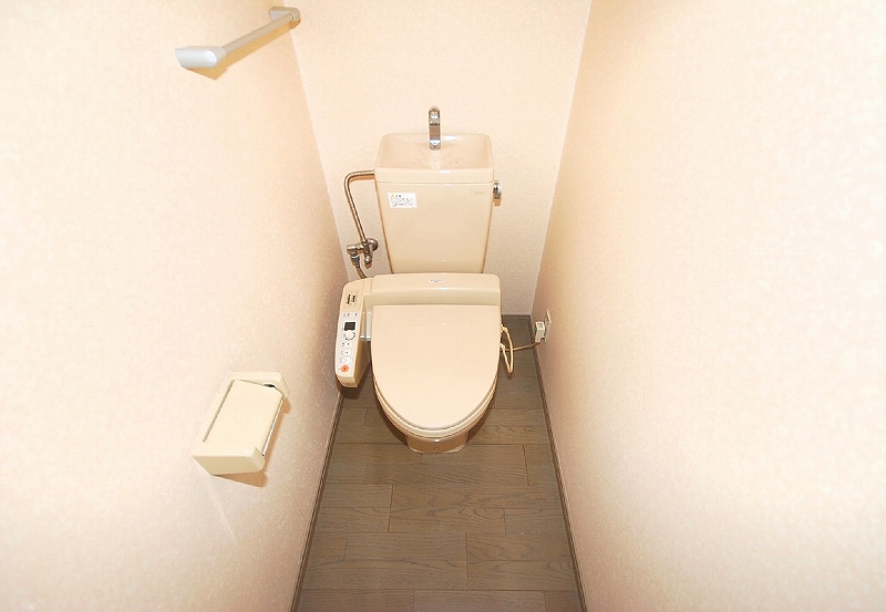 Toilet. Toilet