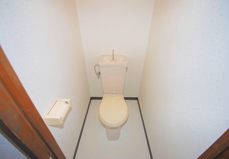 Toilet. Toilet