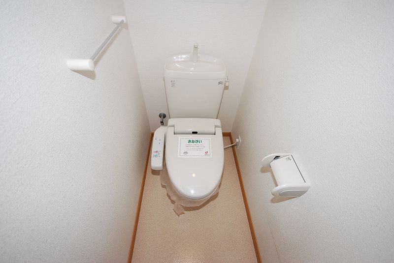 Toilet. Toilet