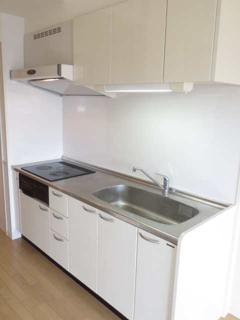Kitchen. System kitchen IH2 neck Rajento 1-neck