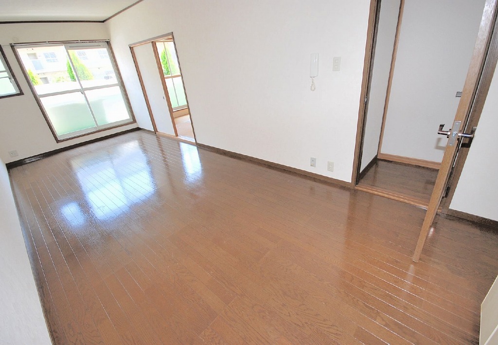 Living and room. Living