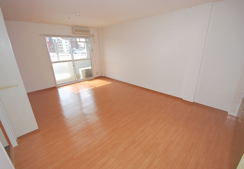 Living and room. Living