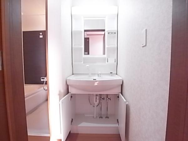 Wash basin, toilet. Plenty of storage can be a wash basin with a schwa (same specifications as wash basin)