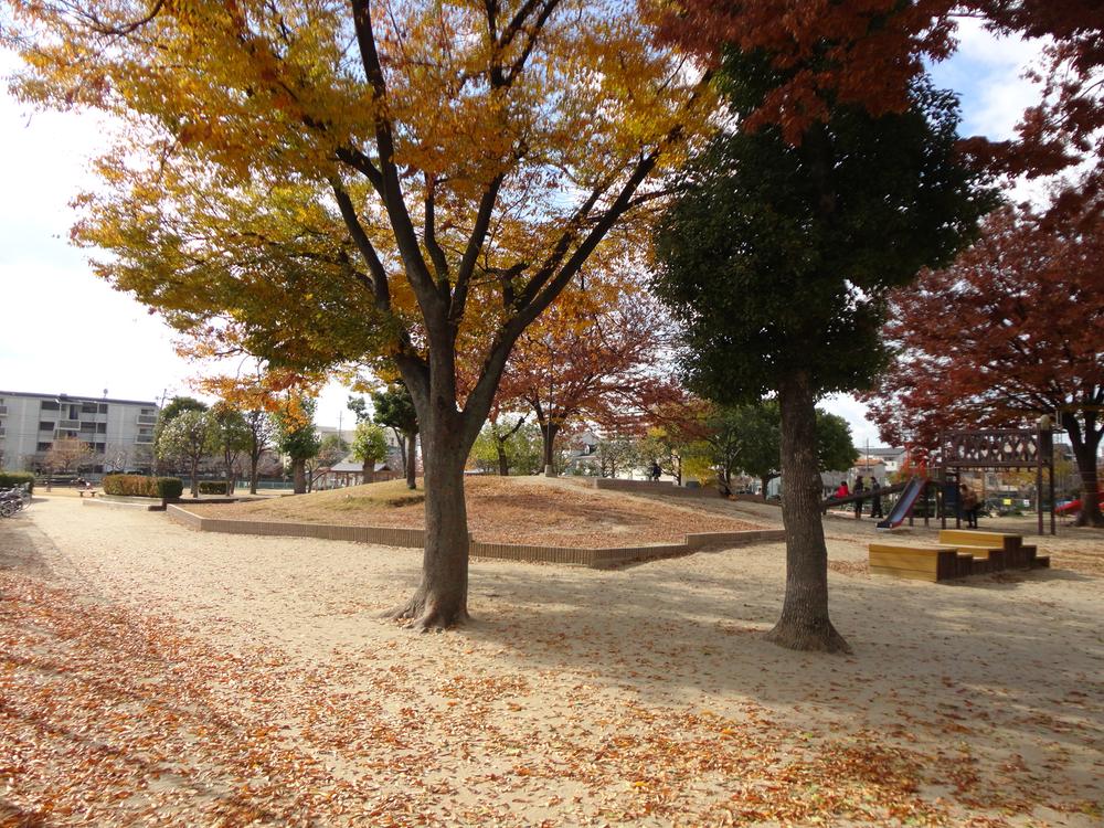 Other.  ◆  ◆ I'm glad there is a park in the back ◆ 