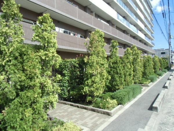 Other. Bright, may be airy, A comfortable new life
