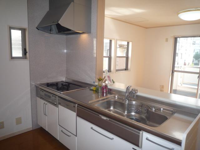Kitchen. System kitchen with a dishwasher! I am happy to double-income! 