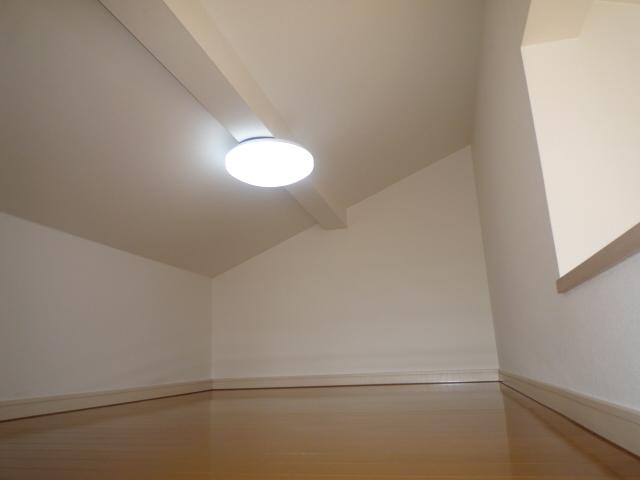 Other introspection. Surprisingly large loft! 