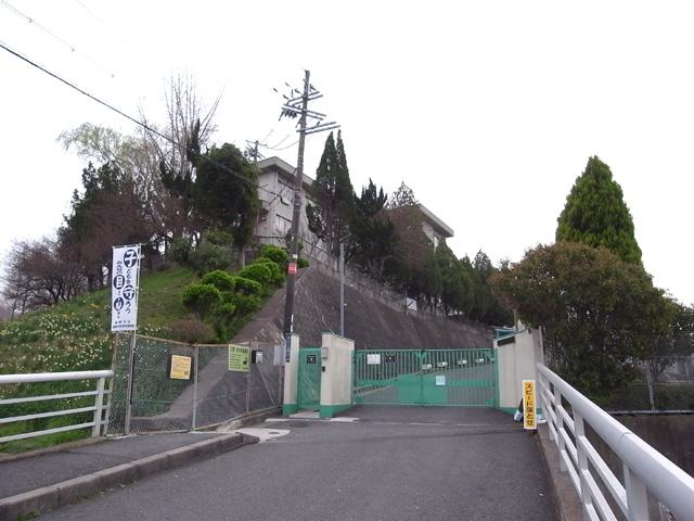 Primary school. Neyagawa Municipal Umegaoka to elementary school 1153m