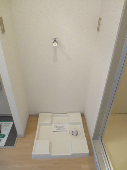 Living and room. Washing machine in the room. 