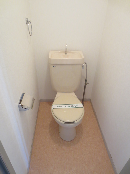 Toilet. Toilet