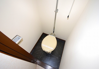 Toilet. Toilet