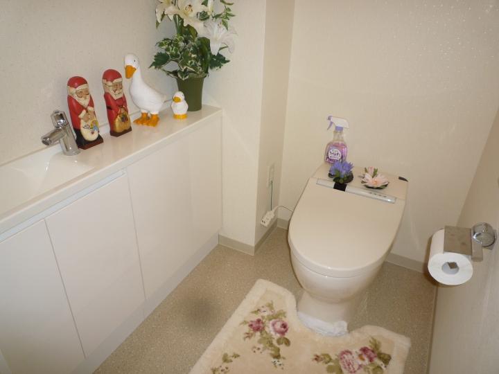 Toilet. Indoor (March 2013) Shooting