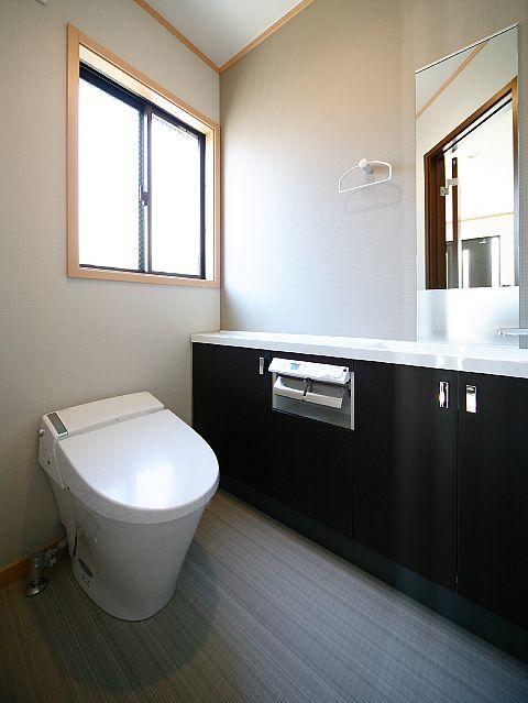 Toilet. Our construction cases