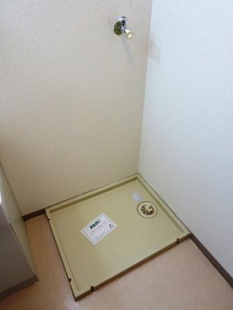Other. Parusoshia Washing machine in the room