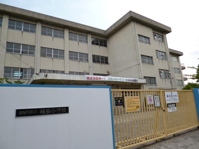 Other. Pilfered elementary school