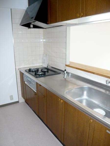 Kitchen. Face-to-face kitchen