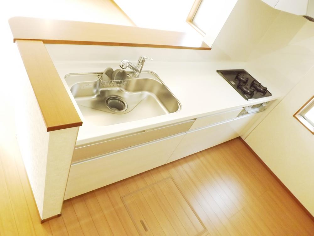Kitchen. Local photo (kitchen) Slide storage! Water purifier with shower!