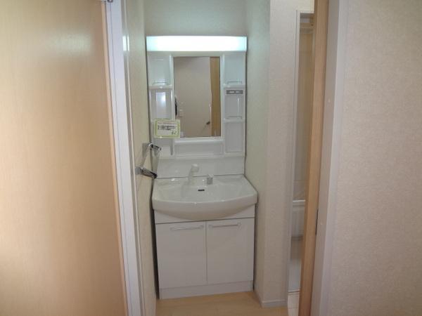 Wash basin, toilet. Vanity with a convenient shower