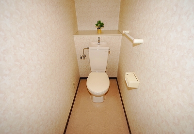 Toilet. Toilet