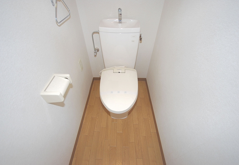 Toilet. Toilet