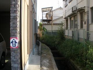 Other. It is the scenery in the vicinity of the West. 