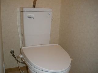 Toilet. It is the first floor of the toilet. 