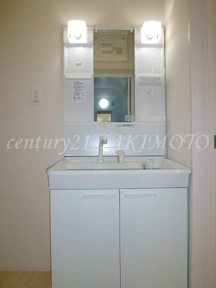 Wash basin, toilet. Vanity shower