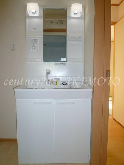 Wash basin, toilet. Storage rich and convenient vanity shower faucet