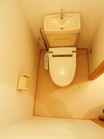 Toilet. Parusoshia