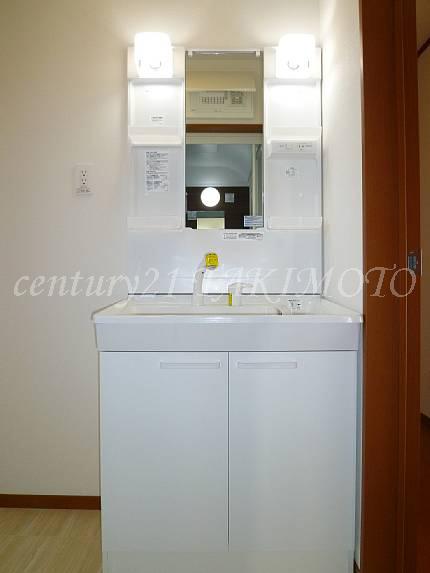 Wash basin, toilet. Storage rich and convenient wash basin! !