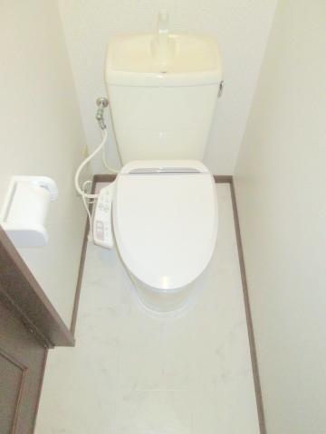 Toilet. It is a high-function toilet