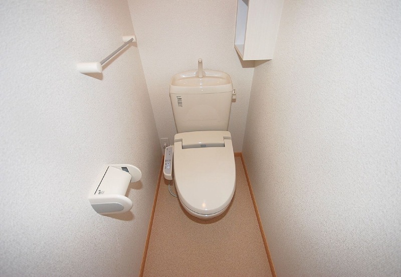 Toilet. Toilet