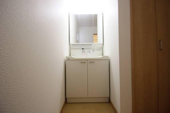 Wash basin, toilet. Convenient Shampoo dresser. Bright lights with!