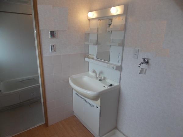 Wash basin, toilet. Storage lot, Washbasin with shower