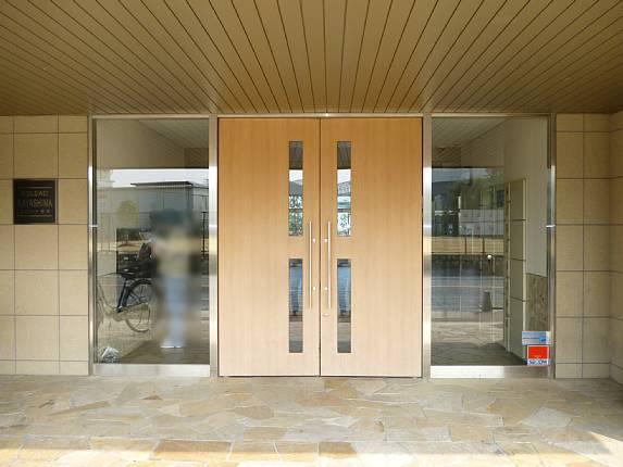 Entrance. Common areas