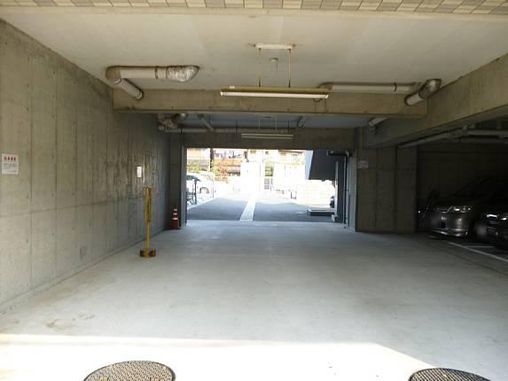 Parking lot. Common areas