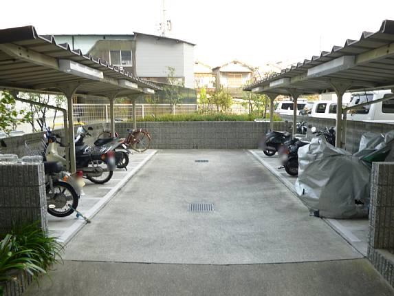 Parking lot. Common areas