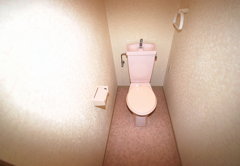 Toilet. Toilet