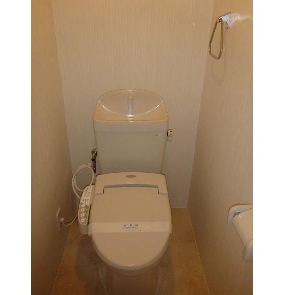 Toilet. Indoor (2013) Shooting