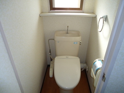 Toilet. Cleaning toilet seat