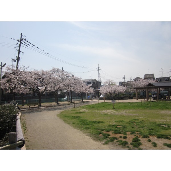 park. 1177m to Tainishi park (park)
