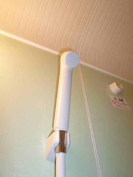 Bathroom. Bath with shower.